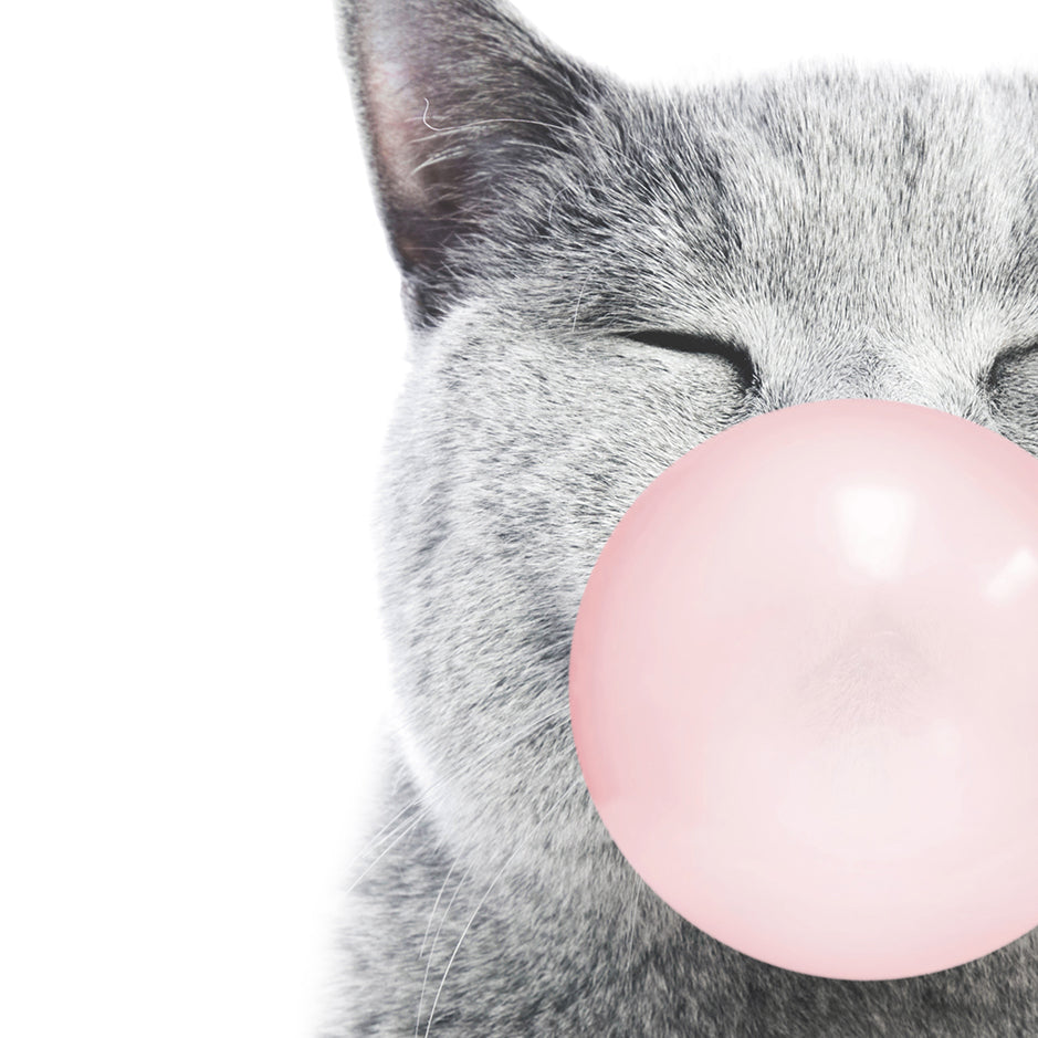 Cat Blowing Pink Bubble Gum