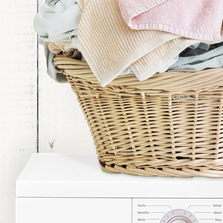 Dirty Kitty Cat in Laundry Basket on Washing Machine - Farmhouse Wall