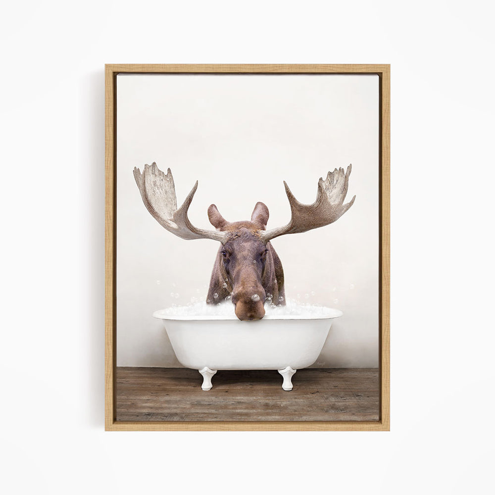 A moose with large antlers is sitting in a white bathtub, appearing to enjoy the bath.