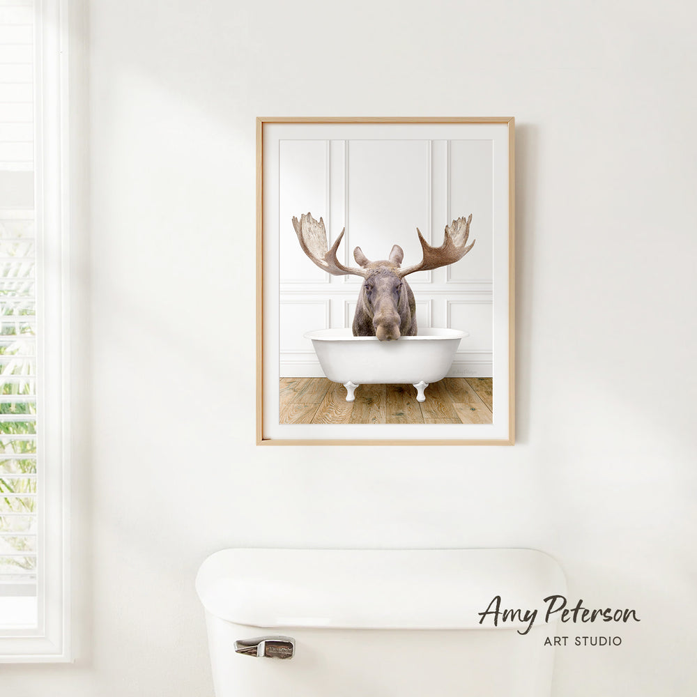 A framed image of a moose sitting in a bathtub, with its large antlers prominently displayed.