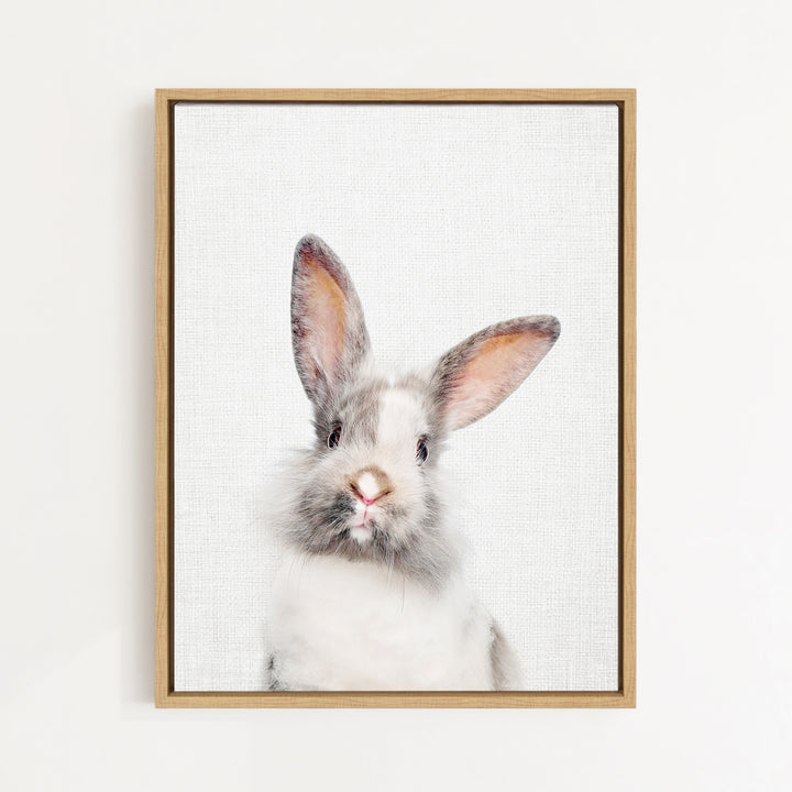 A white rabbit with large ears is the main subject of the framed picture, which is hung on a white wall.