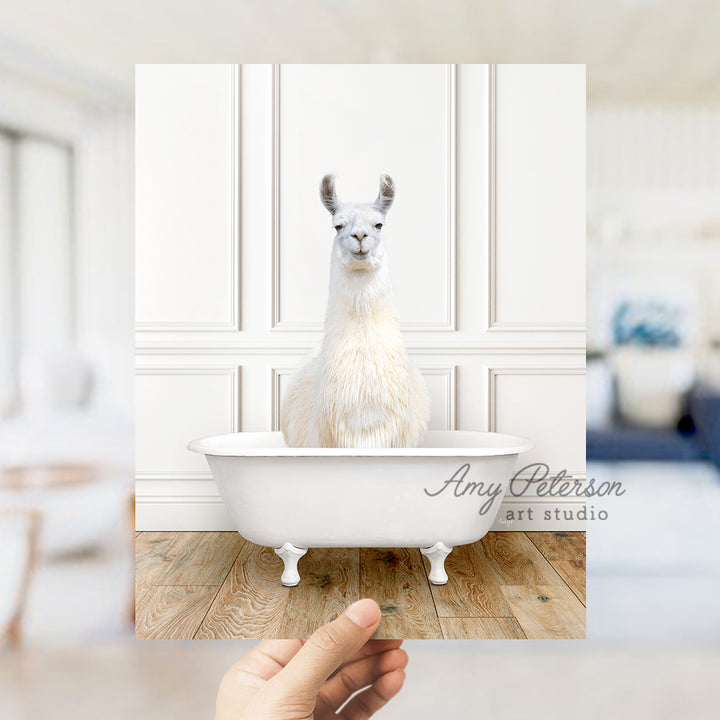 a llama sitting in a bathtub in a room