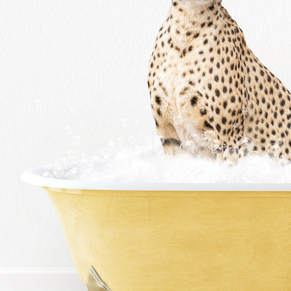 a cheetah sitting in a bathtub full of bubbles