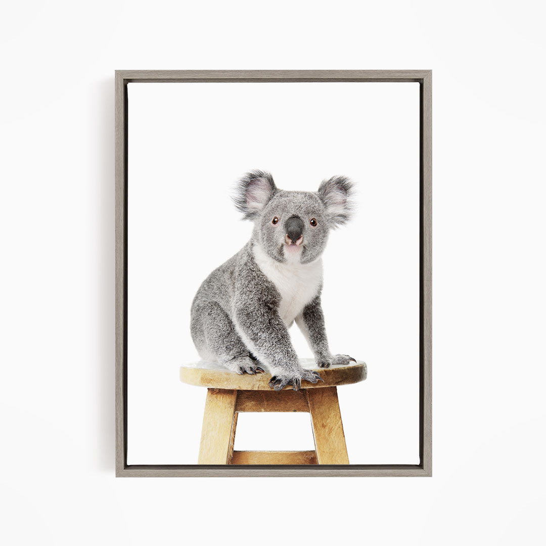 A koala sitting on a wooden stool against a white background.
