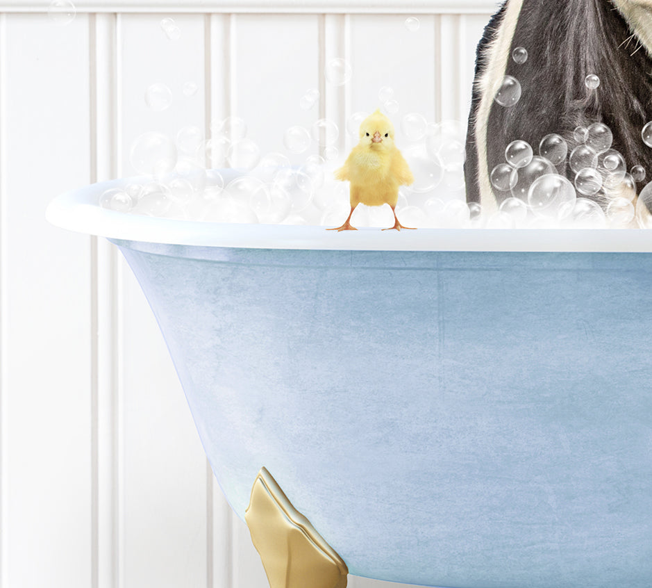 a cat in a bathtub with bubbles and a rubber duck