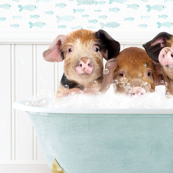 a group of three pigs sitting in a bath tub