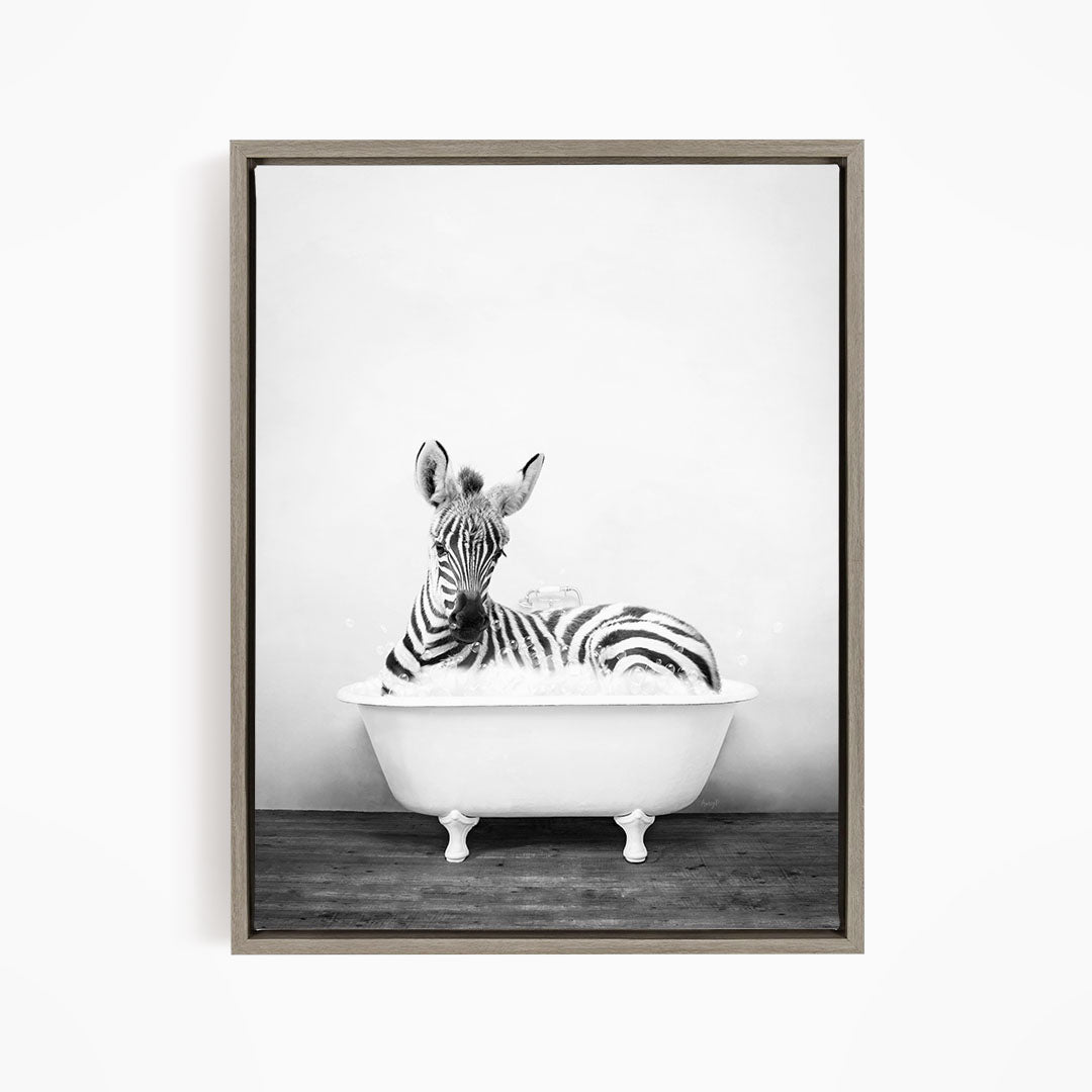 A zebra lying in a white bathtub, appearing relaxed and content.