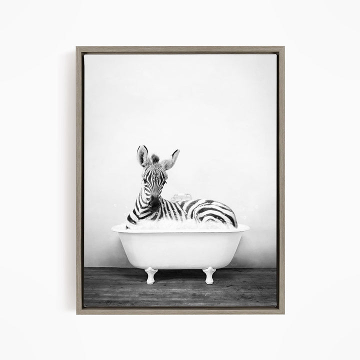A zebra lying in a white bathtub, appearing relaxed and content.