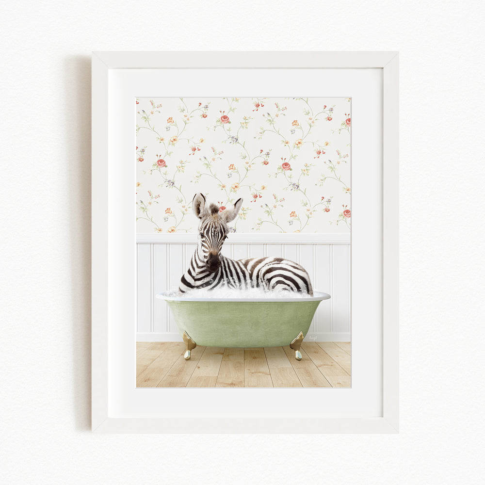 A zebra is sitting in a green bathtub, surrounded by a floral wallpaper.