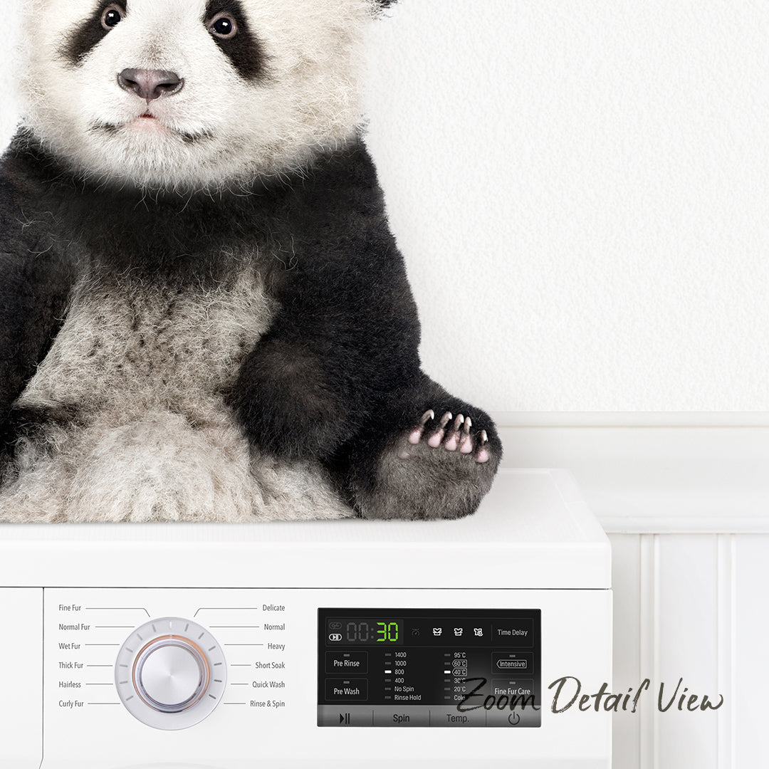 A panda bear sitting on top of a washing machine.