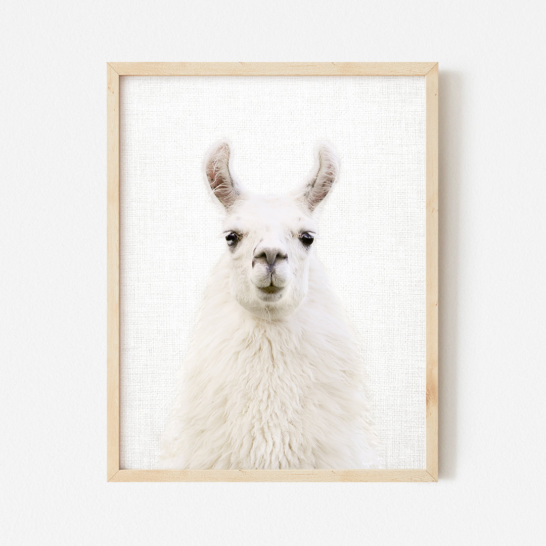 a picture of a llama in a wooden frame