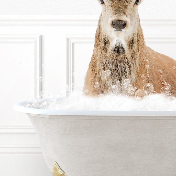 a deer is sitting in a bathtub full of bubbles