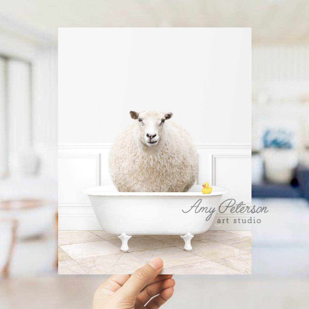 Sheep in Modern Bath