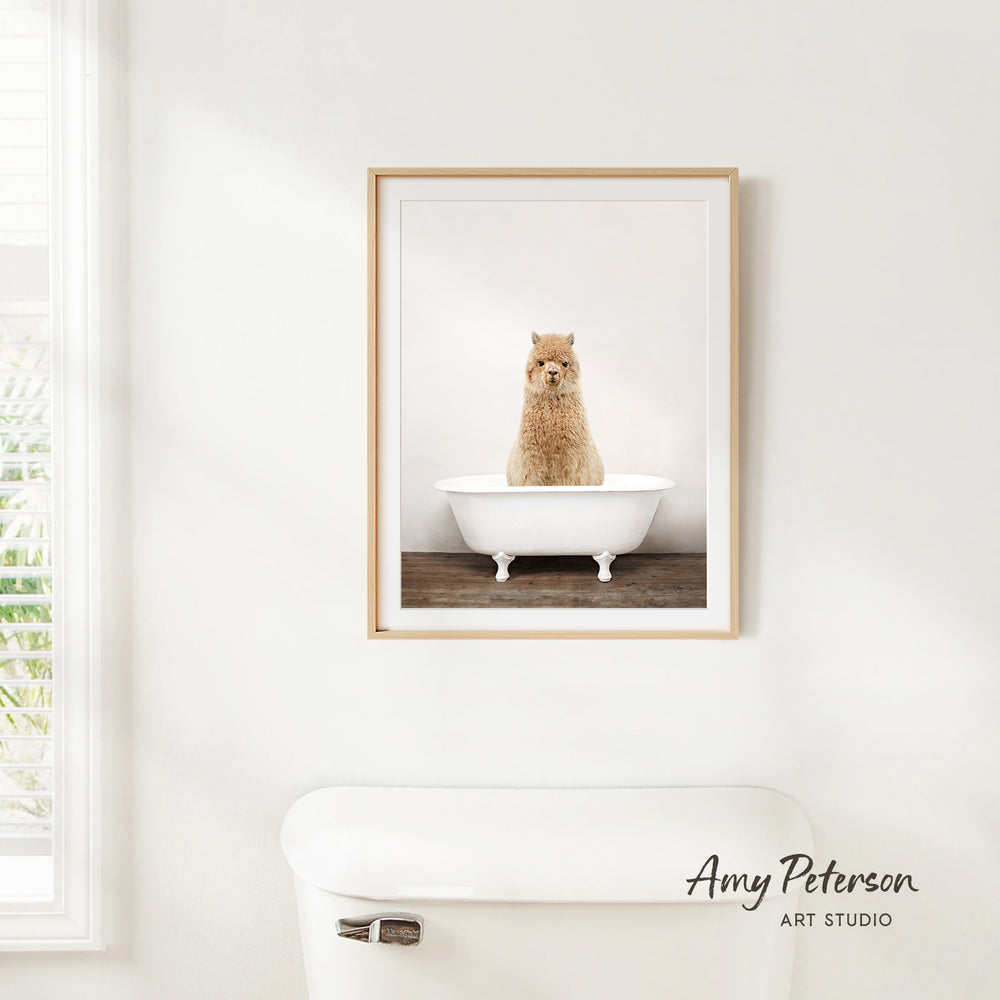 A framed photograph of a cat sitting in a white bathtub is hanging on a white wall.