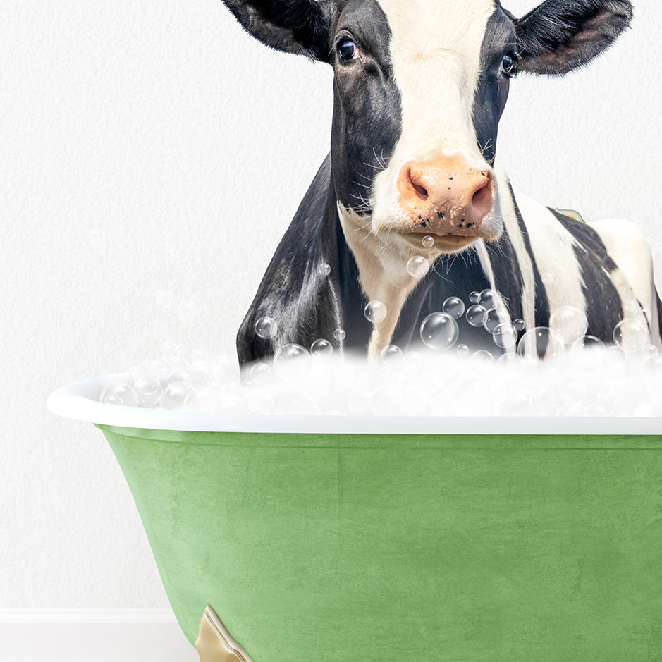 a black and white cow in a green bath tub