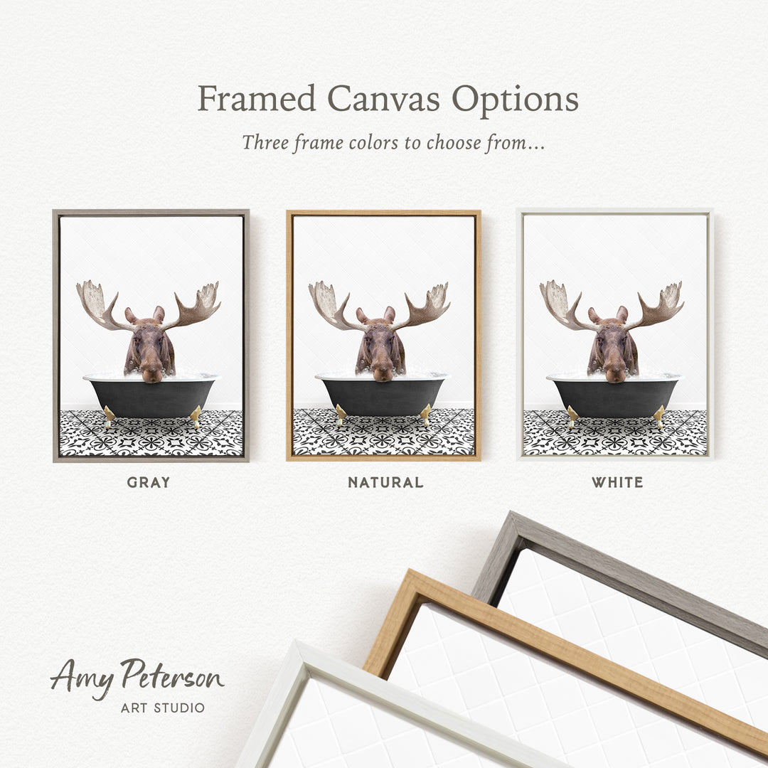 three framed canvas options featuring a moose in a bathtub, with each option having a different frame color.