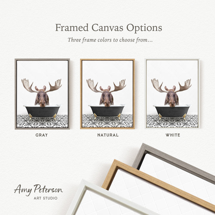 three framed canvas options featuring a moose in a bathtub, with each option having a different frame color.