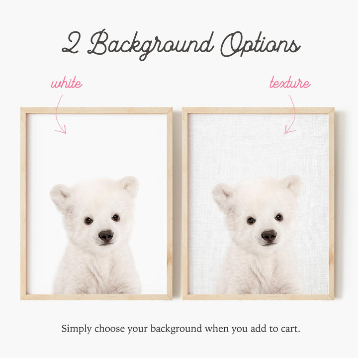 a picture of a baby polar bear in a frame
