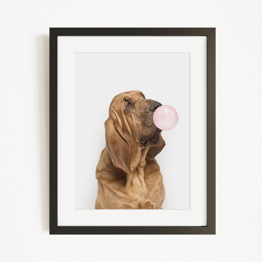 A brown dog is blowing a pink bubble with its mouth, looking up at the camera.