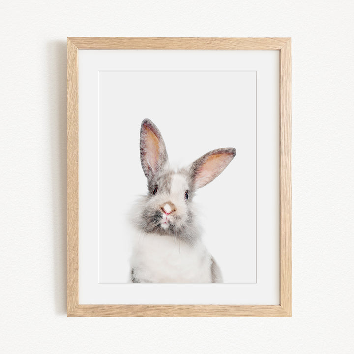 A white rabbit with large ears is the focus of the image, which is framed and displayed on a wall.