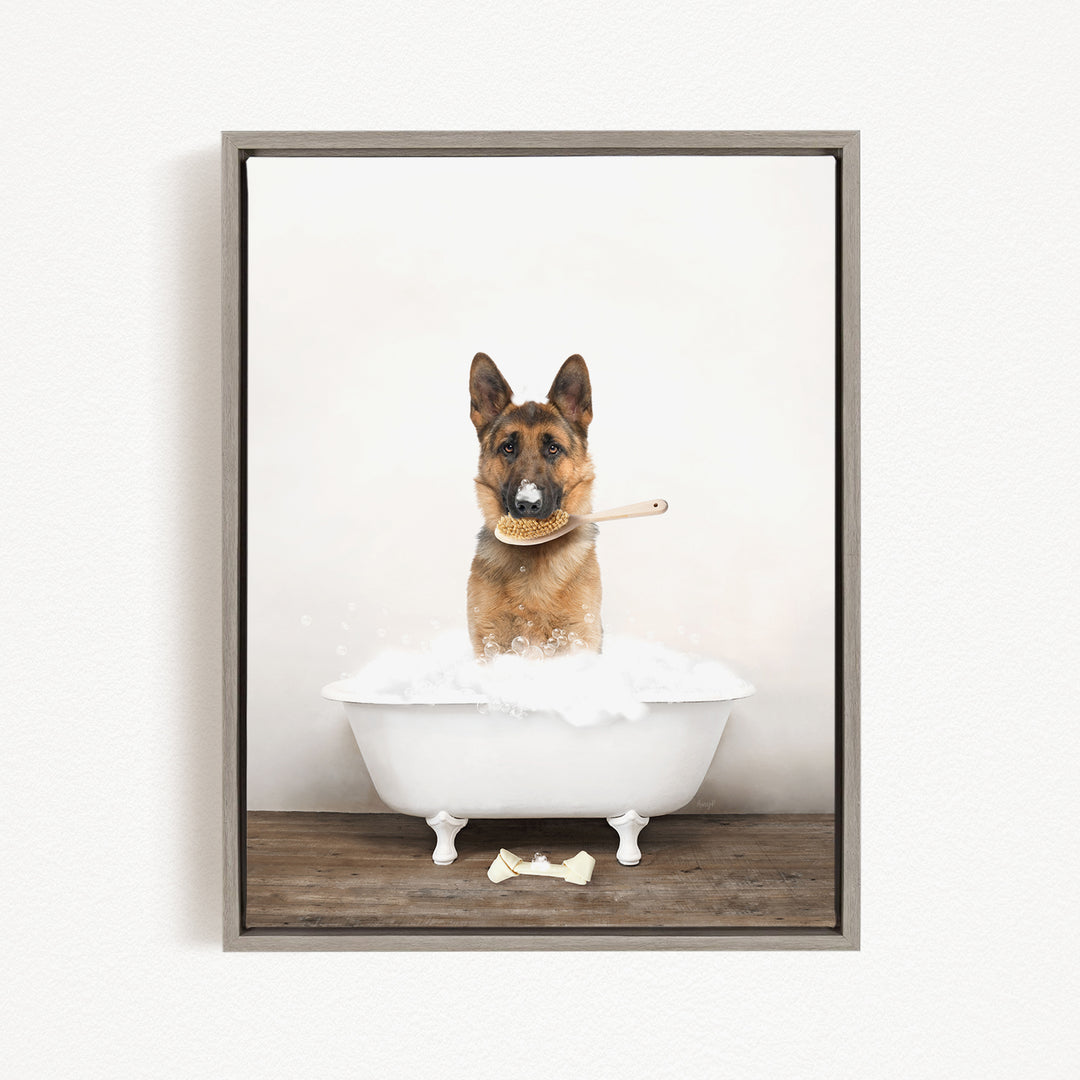A German Shepherd dog sitting in a white bathtub, holding a brush in its mouth.