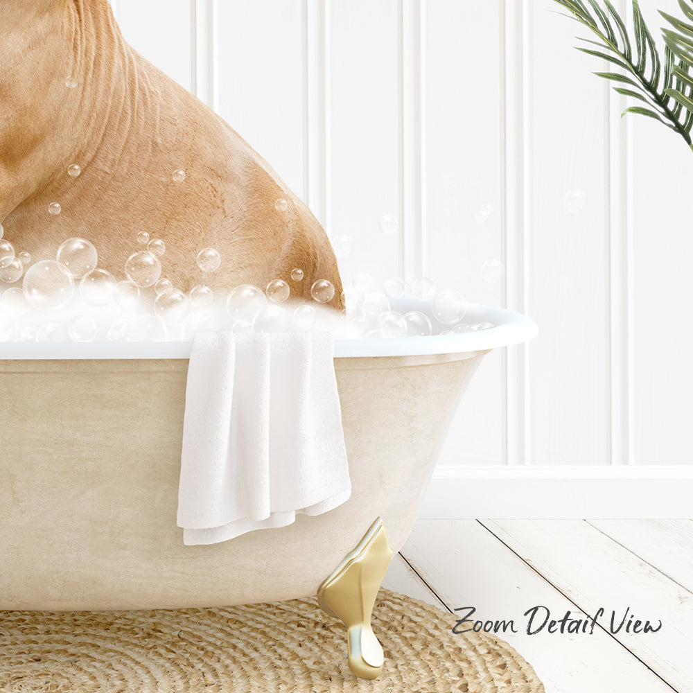 A dog is sitting in a bathtub filled with bubbles, with a towel hanging on the side and a plant in the background.