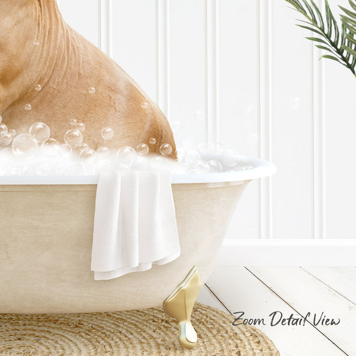 A dog is sitting in a bathtub filled with bubbles, with a towel hanging on the side and a plant in the background.