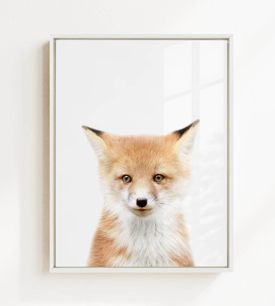 A framed print of a young fox with a friendly expression, looking directly at the camera.