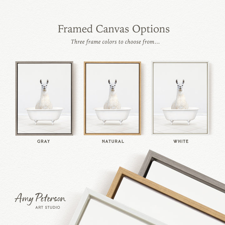 three framed canvas options, each featuring a white llama in a bathtub. The options include a gray frame, a natural frame, and a white frame.