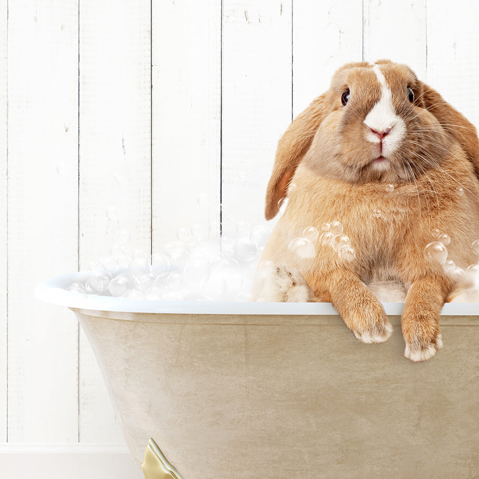 a rabbit sitting in a bathtub full of bubbles