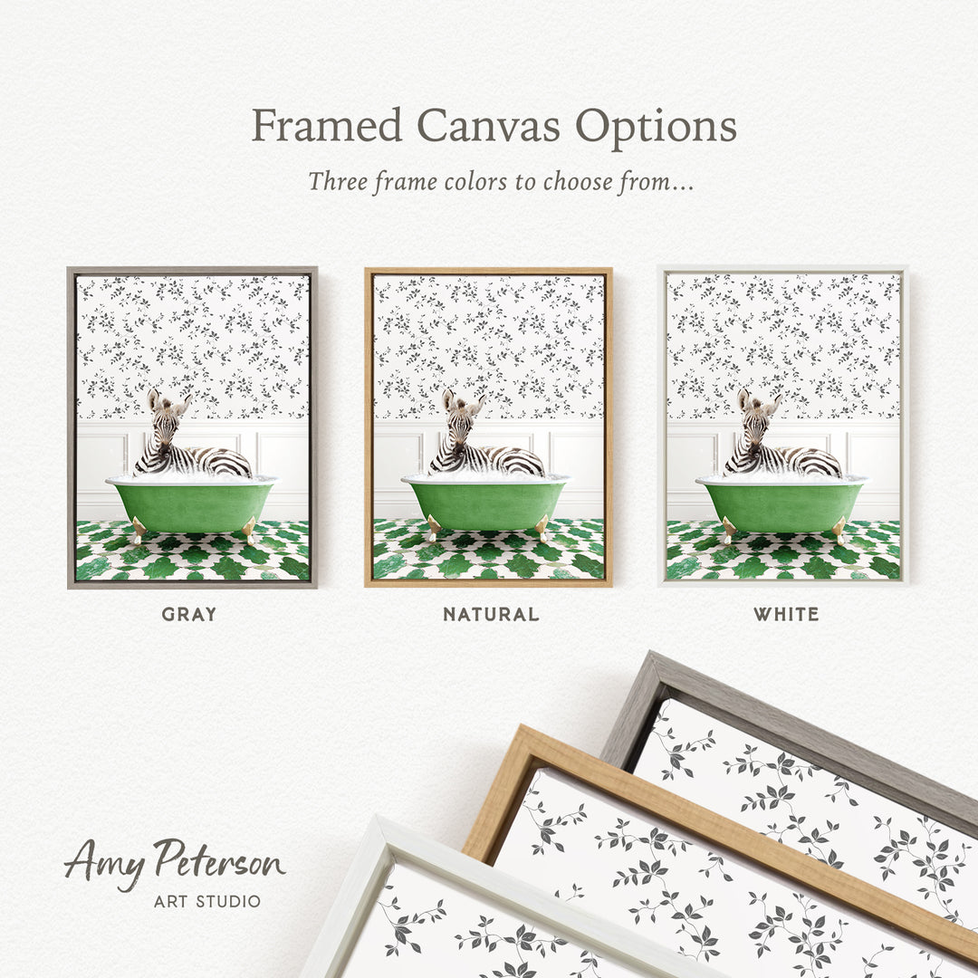 three framed canvas options, each featuring a zebra sitting in a green bathtub. The options include a gray, a natural, and a white frame. The text above the options reads " Framed Canvas Options" and "Three frame colors to choose from...". The text below the options reads "Grays", "Naturals", and "Whites". The artist's name, " Amy Peterson", is also included at the bottom of the image.