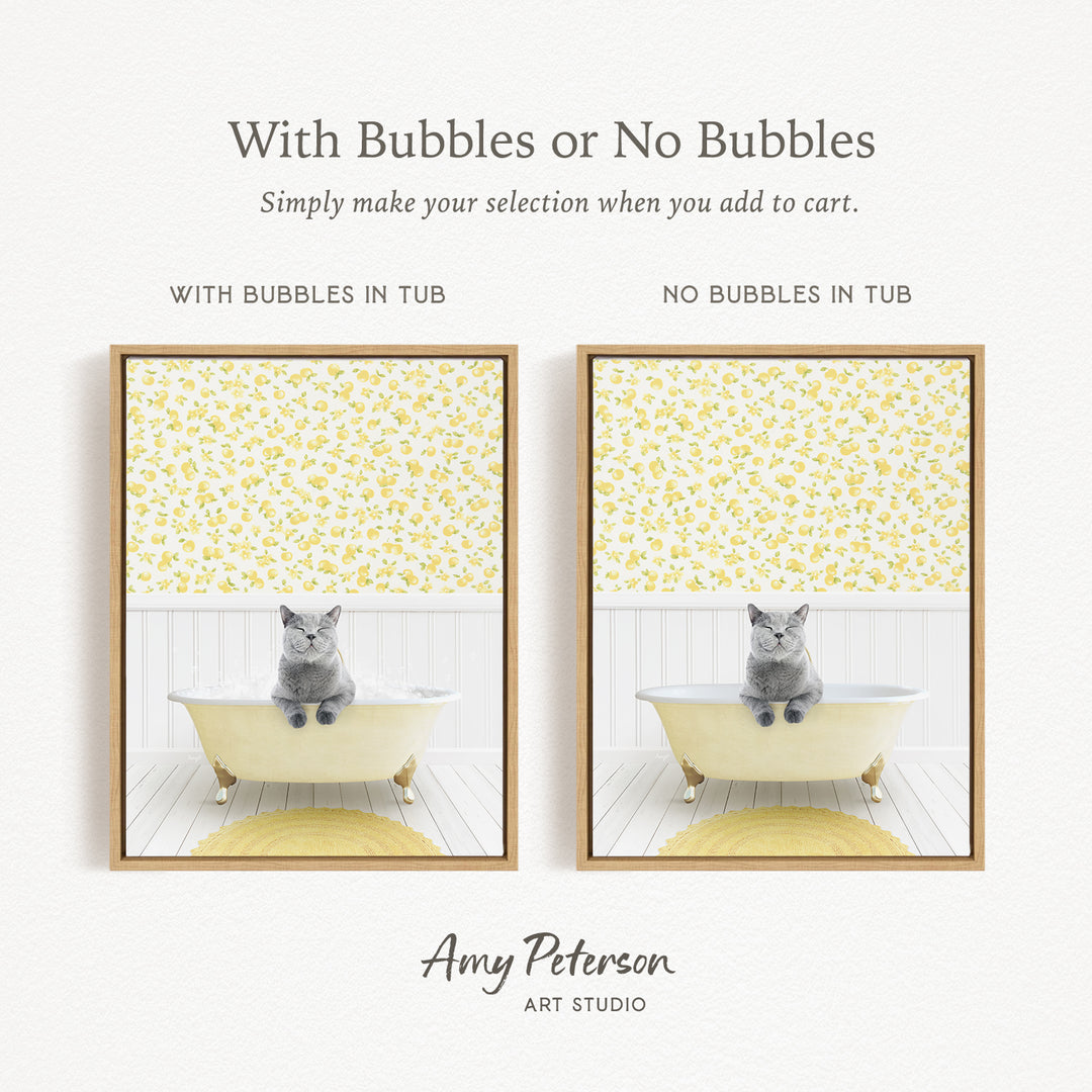 a cat sitting in a bathtub with bubbles or no bubbles