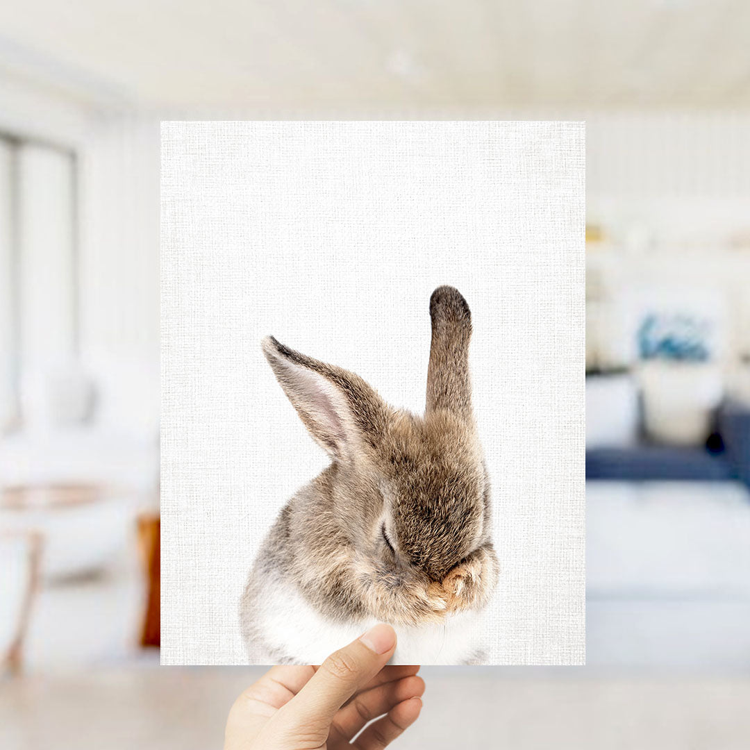 A hand is holding up a picture of a rabbit, which is sitting on a white surface.