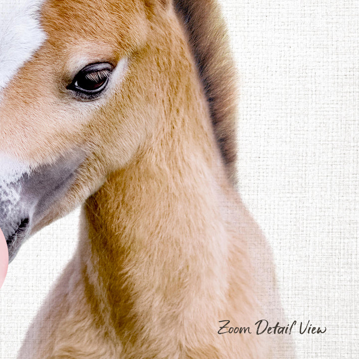 A close-up of a horse's head, focusing on its eyes and the soft, furry texture of its neck and face.