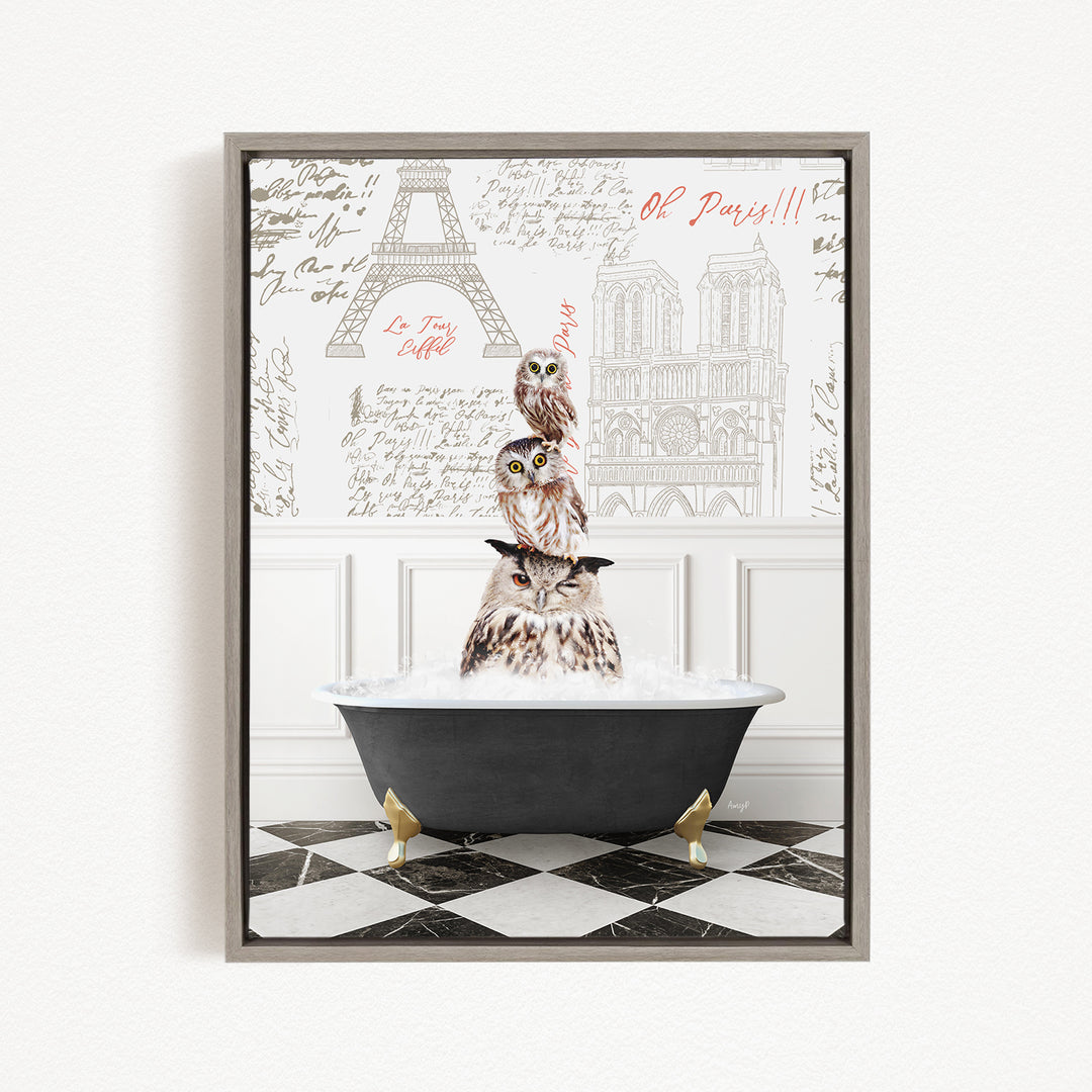 A framed image depicting three owls sitting in a bathtub, with a backdrop of the Eiffel Tower and other Parisian landmarks.