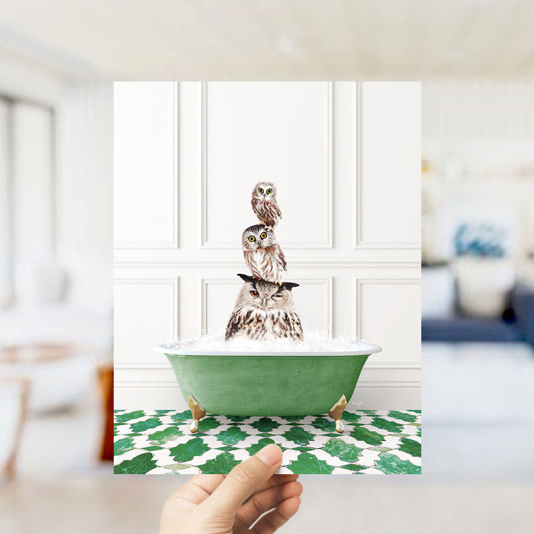A hand holds up a framed image of three owls sitting in a green bathtub filled with water, surrounded by a patterned green and white tile floor.