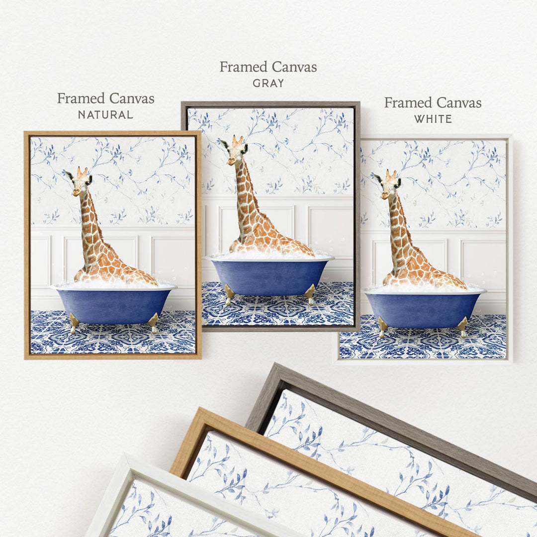 three framed pictures of a giraffe sitting in a blue bathtub, each with a different frame color: natural, gray, and white.