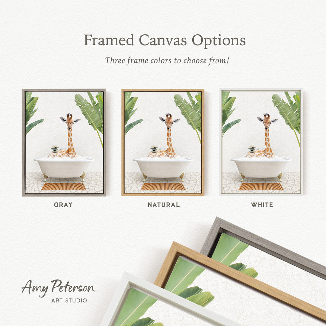three framed canvas options, each featuring a giraffe in a bathtub. The options include a gray frame, a natural frame, and a white frame. The text above the images reads " Framed Canvas Options" and "Three frame colors to choose from!".