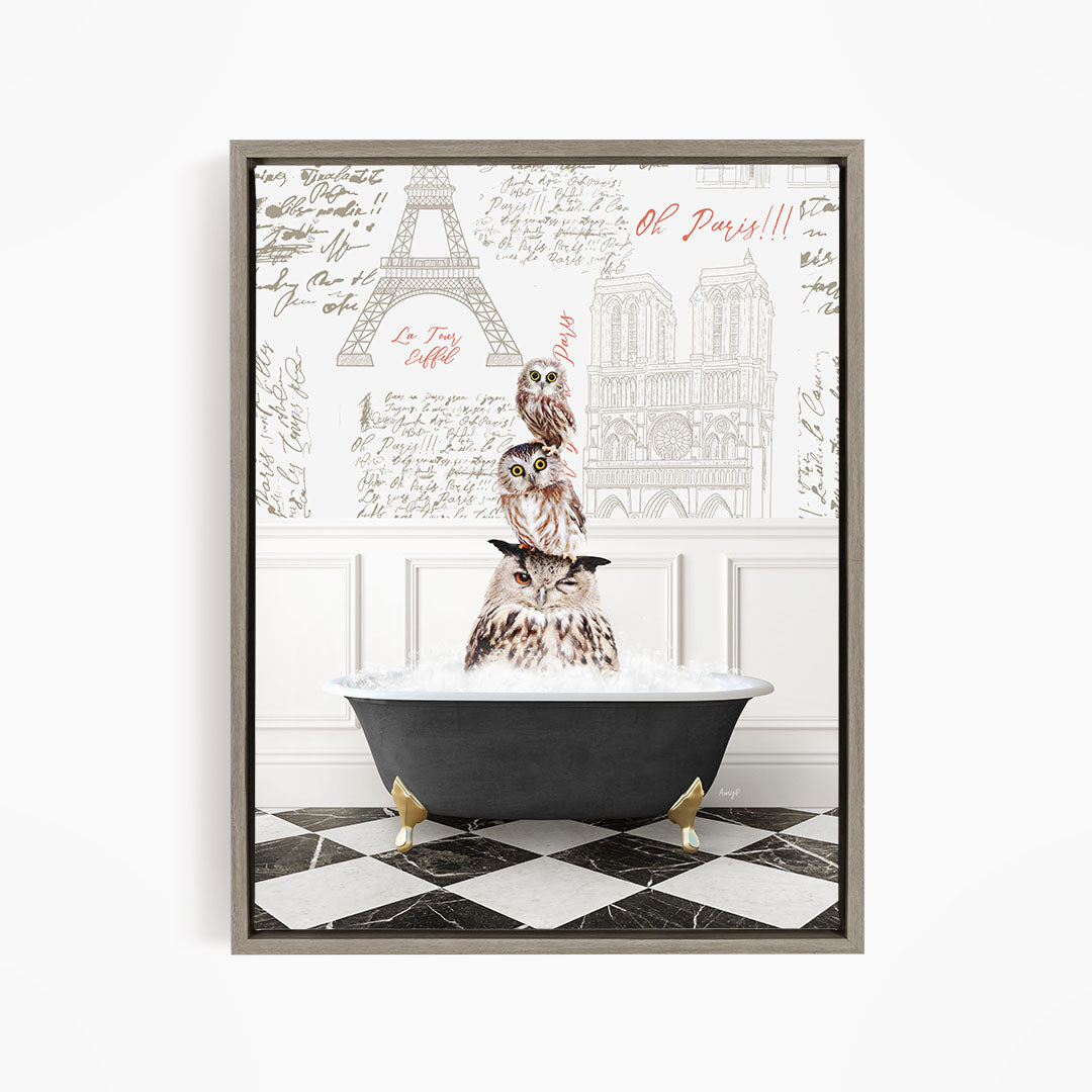 A framed image depicting three owls sitting in a bathtub, with the text "Oh Paris!!!" written above them.