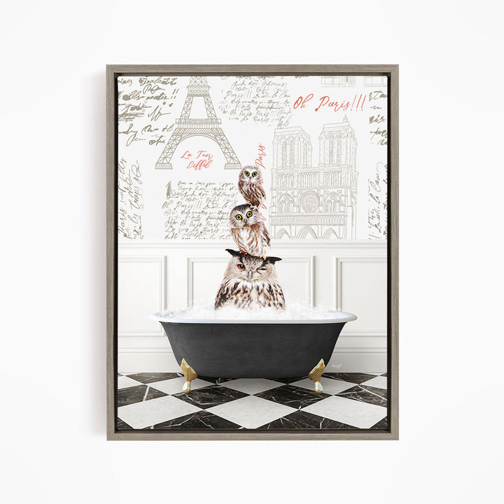 A framed image depicting three owls sitting in a bathtub, with the text "Oh Paris!!!" written above them.