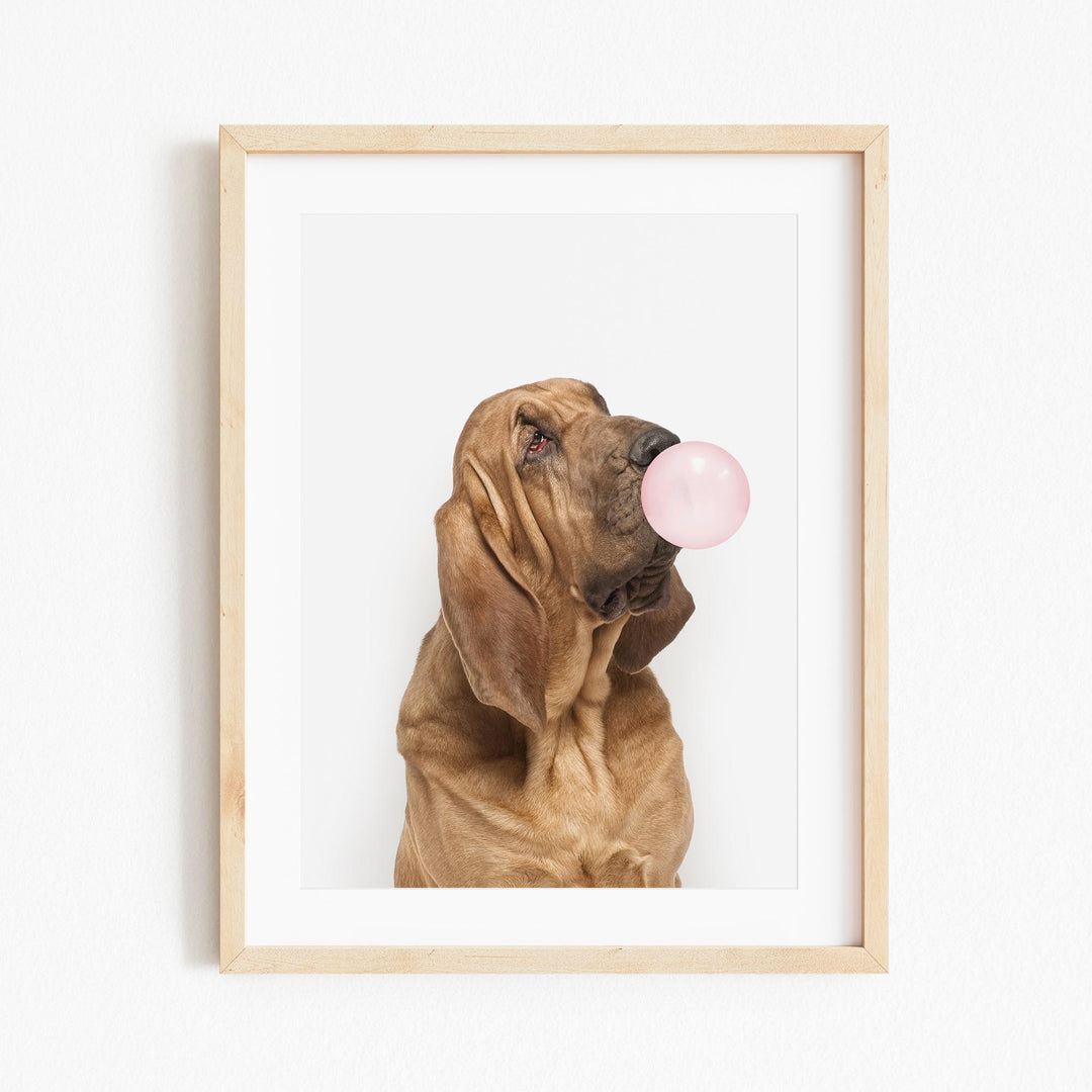 a picture of a dog with a bubble in it's mouth