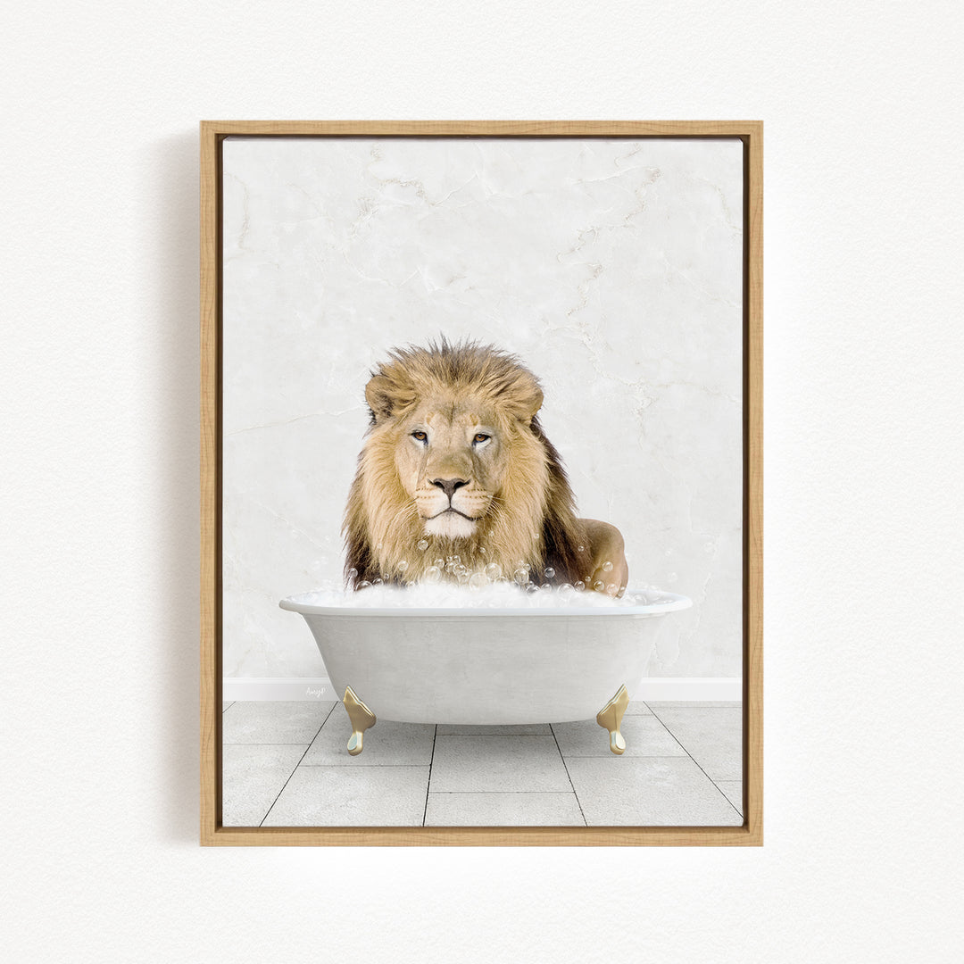 A lion sitting in a white bathtub filled with water, appearing to be enjoying a relaxing bath.