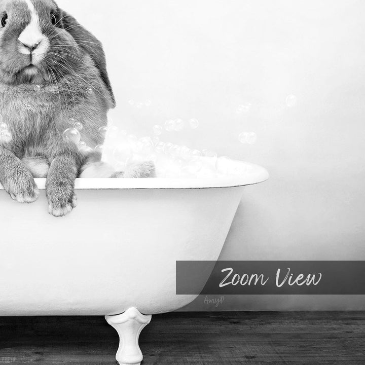 A rabbit sitting in a bathtub filled with bubbles, with the text "Zoom View" below the image.