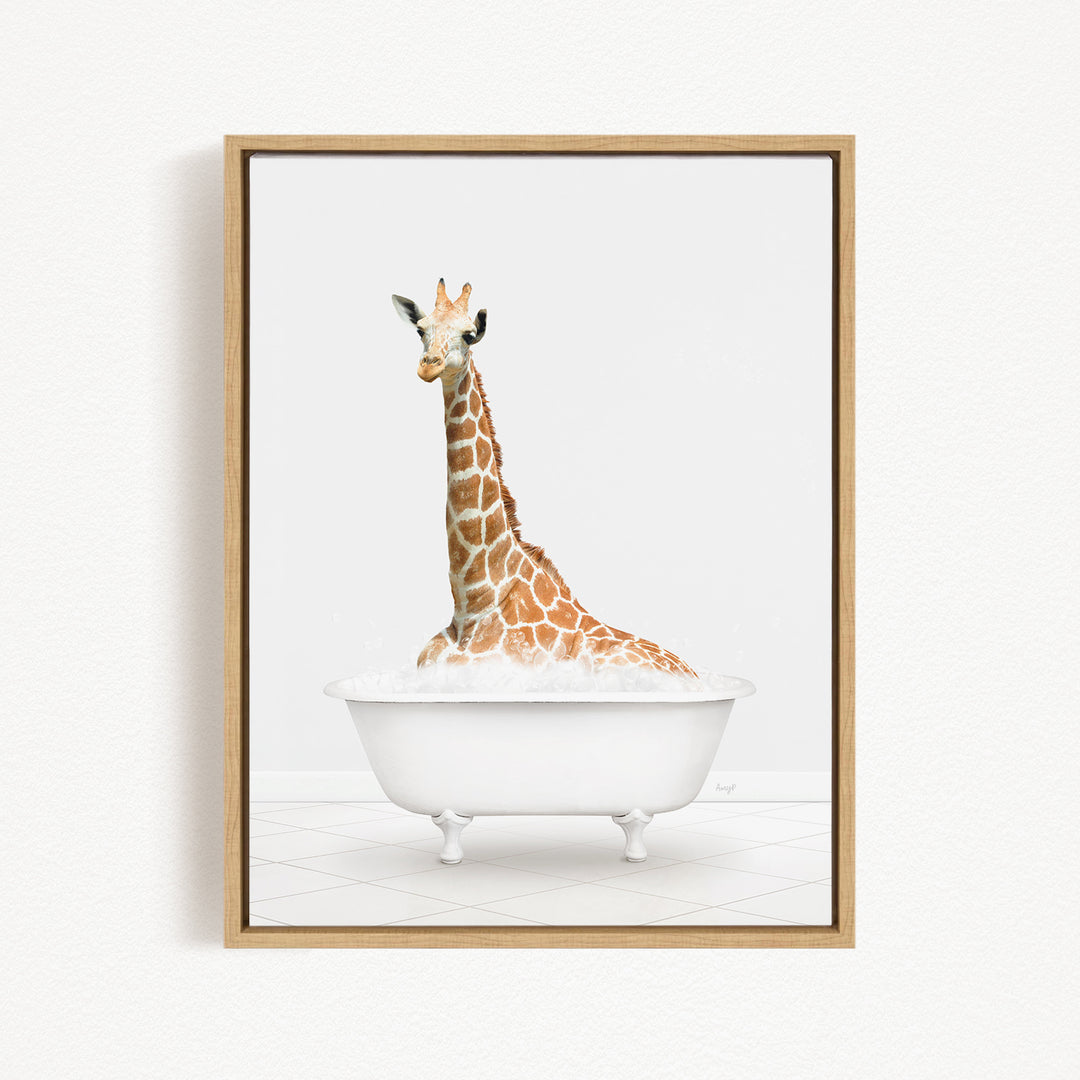 A giraffe sitting in a white bathtub filled with bubbles.
