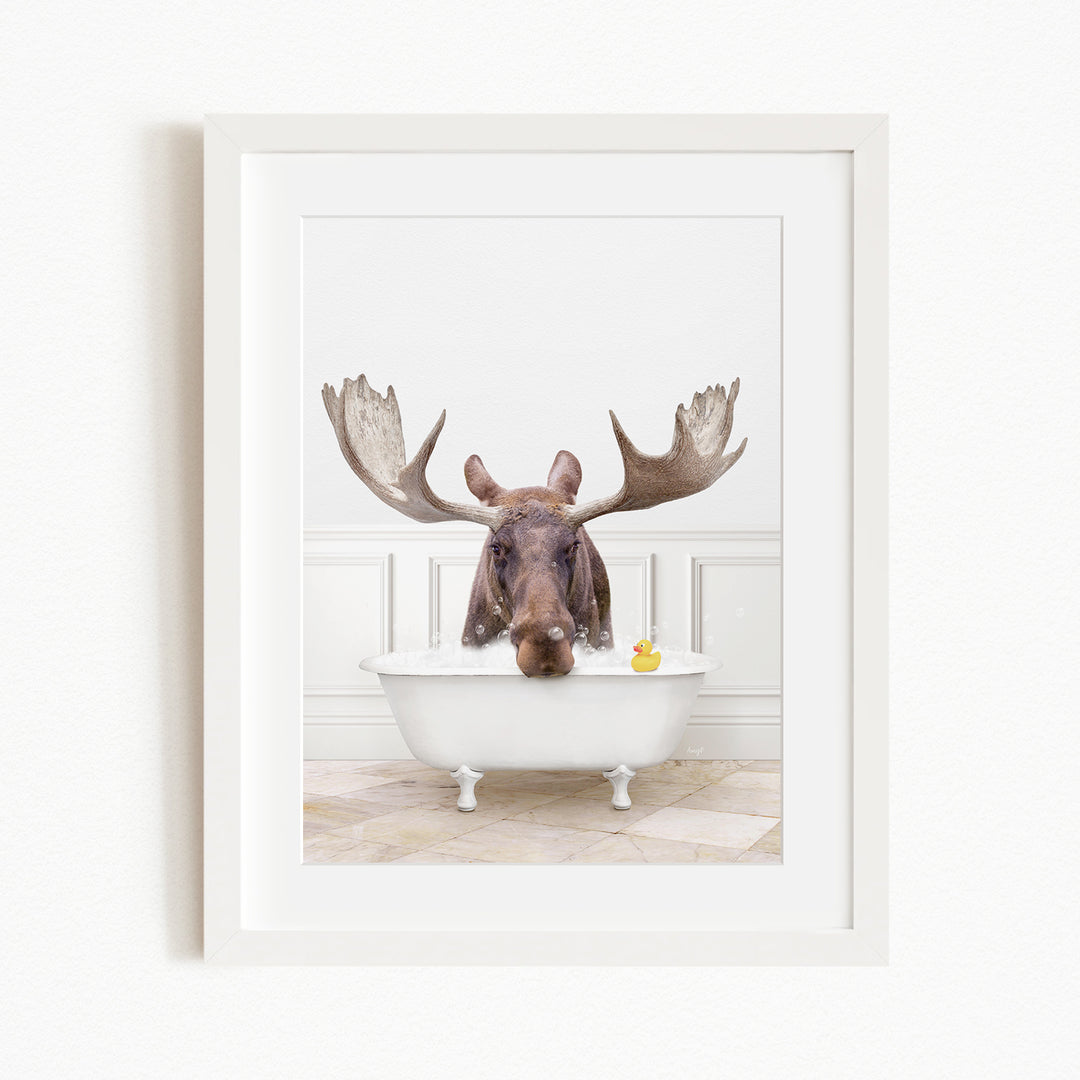 A moose with large antlers is sitting in a white bathtub, with a yellow rubber duck floating in the water.