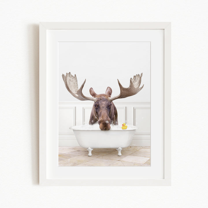 A moose with large antlers is sitting in a white bathtub, with a yellow rubber duck floating in the water.