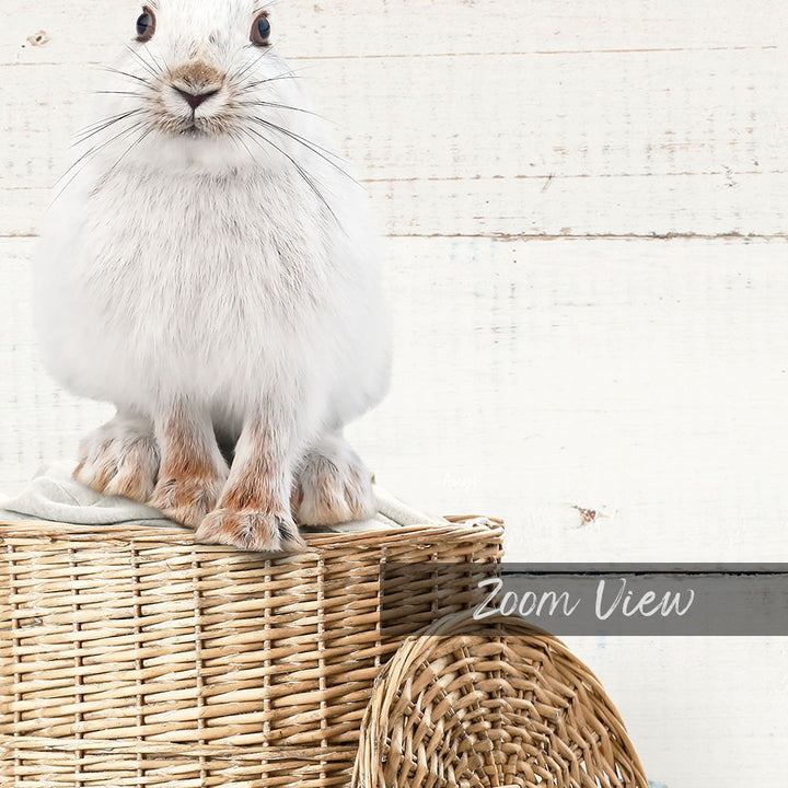 A fluffy white rabbit sits atop a woven basket, with a white wooden background.