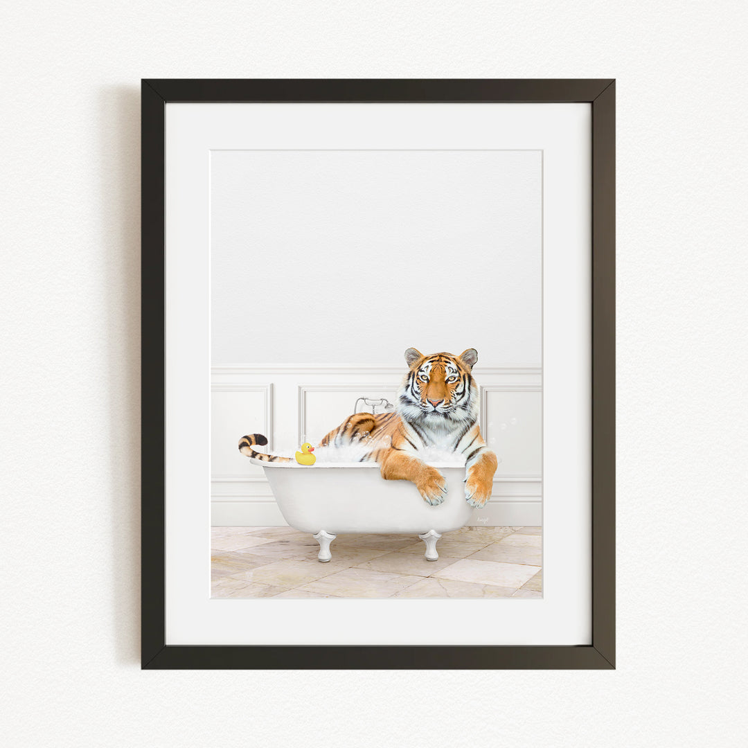 A tiger is sitting in a white bathtub filled with water, surrounded by rubber ducks.