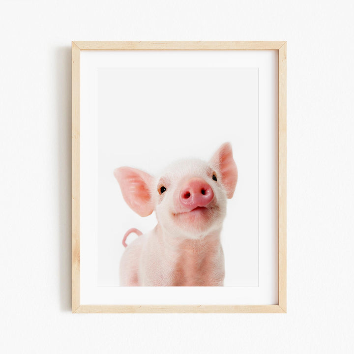 a small pig is shown in a wooden frame