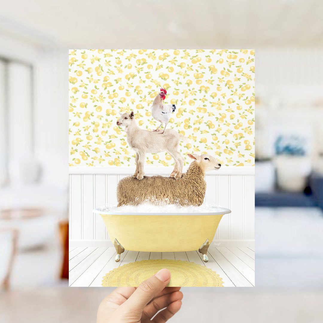 A hand holds up a framed image depicting a sheep standing on a tub filled with bubbles, with a chicken perched on top.
